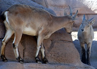 Image showing mother and baby