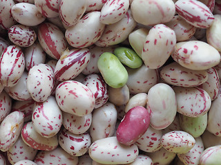 Image showing Crimson beans legumes vegetables