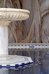 Image showing Marble fountain and old centennial ficus, park Alameda Apodaca, Cadiz, Andalusia, Spain