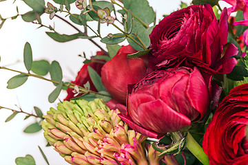 Image showing Ranunkulyus bouquet of red flowers on a white background