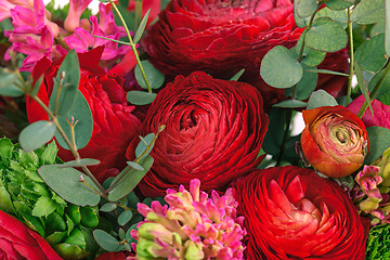 Image showing Ranunkulyus bouquet of red flowers on a white background