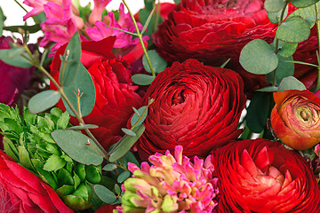 Image showing Ranunkulyus bouquet of red flowers on a white background