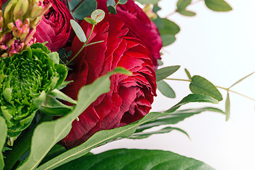 Image showing Ranunkulyus bouquet of red flowers on a white background