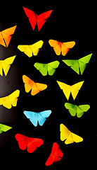 Image showing butterflies on black