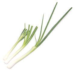 Image showing green onion