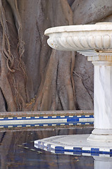 Image showing Marble fountain and old centennial ficus, park Alameda Apodaca, Cadiz, Andalusia, Spain