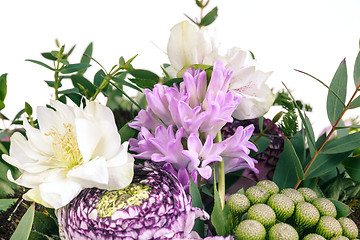 Image showing Ranunkulyus bouquet of red flowers on a white background