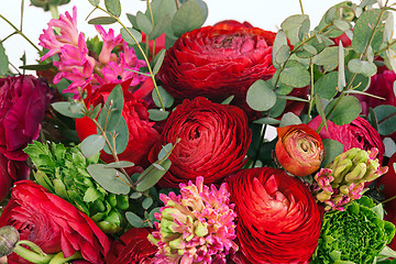 Image showing Ranunkulyus bouquet of red flowers on a white background