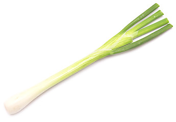 Image showing green onion