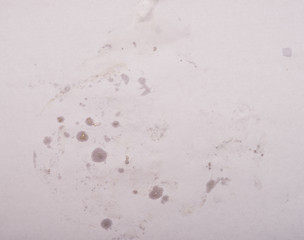 Image showing dirty paper