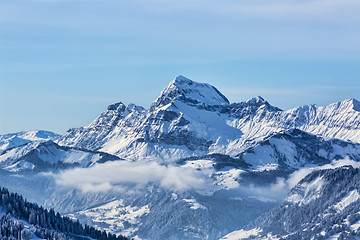 Image showing Winter Landscape