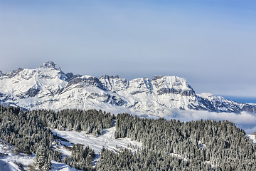 Image showing Winter Landscape