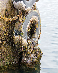 Image showing Recycled old tyre used as bumper