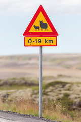 Image showing Real Sheep Crossing traffic sign