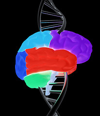 Image showing Brain and dna. 3d illustration