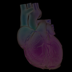 Image showing Human heart and veins. 3D illustration.