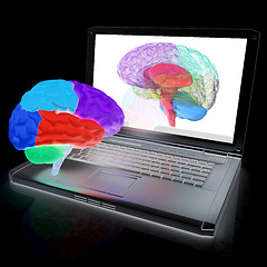 Image showing creative three-dimensional model of real human brain and scan on