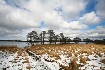 Image showing View on a beautiful  lake in scandinavia in denmark 