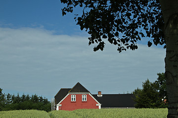 Image showing Red house in Danish landscapes in the summer