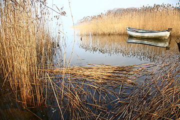 Image showing View on a beautiful  lake in scandinavia in denmark 