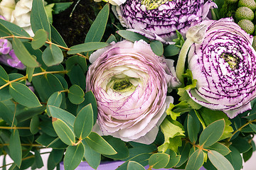 Image showing Ranunkulyus bouquet of red flowers on a white background