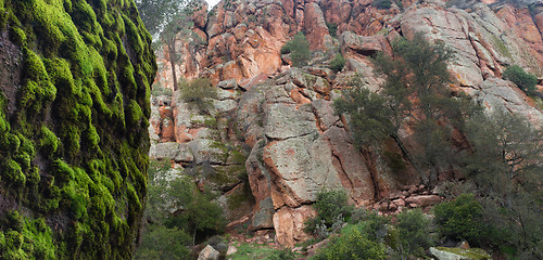 Image showing Winter Time Pinnacles National Park Forest Trail California USA