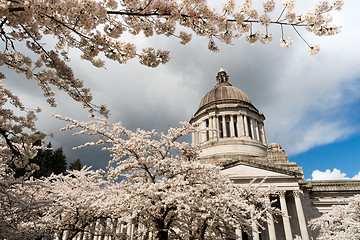 Image showing Washington State Capital Building Olympia Springtime Cherry Blos