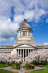 Image showing Washington State Capital Building Olympia Springtime Cherry Blos