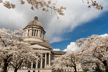 Image showing Washington State Capital Building Olympia Springtime Cherry Blos