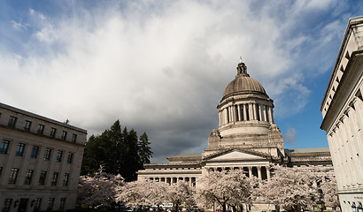 Image showing Washington State Capital Building Olympia Springtime Cherry Blos