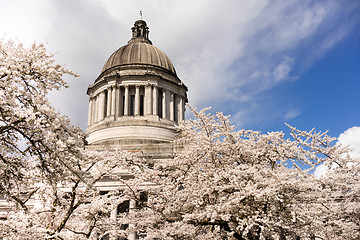 Image showing Washington State Capital Building Olympia Springtime Cherry Blos