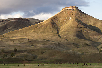 Image showing D for Dayville Grants County Route 26 Flat Top Ridge Oregon