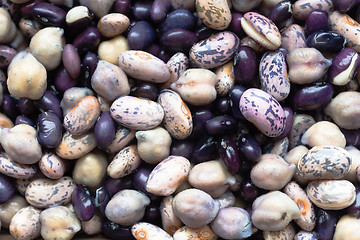 Image showing Beans Soaking Whole Food Garbonzo Bean Black Anasazi 