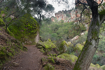 Image showing Winter Time Pinnacles National Park Forest Trail California USA