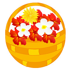 Image showing Flower in basket