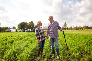 Image showing happy senior couple at summer farm