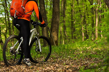 Image showing healthy lifestyle and fitness concept with mount bike man outdoor