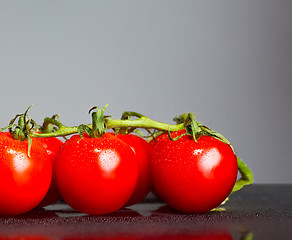 Image showing The fresh cherry tomatos on gray background