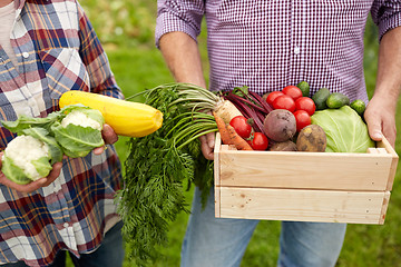 Image showing senior couple with box of vegetables on farm