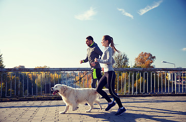 Image showing happy couple with dog running outdoors