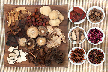 Image showing Chinese Medicinal Herbs