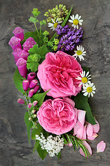 Image showing Flowers for Natural Herbal Medicine