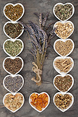 Image showing Medicinal Herbs for Anxiety Disorders