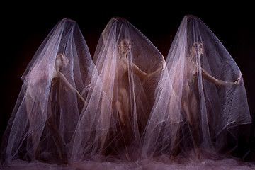 Image showing The sensual and emotional dance of beautiful ballerina