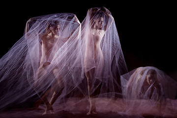 Image showing The sensual and emotional dance of beautiful ballerina