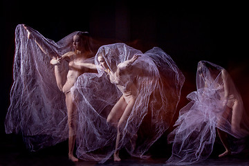 Image showing The sensual and emotional dance of beautiful ballerina