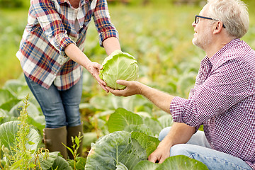 Image showing senior couple picking cabbage on farm