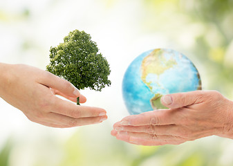 Image showing hands holding green oak tree and earth planet