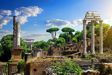 Image showing Ruined Roman Forum