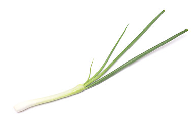 Image showing green onion